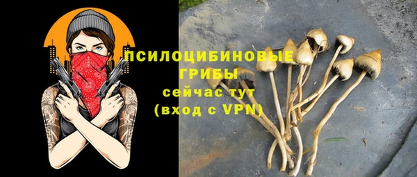 бутират Верхний Тагил