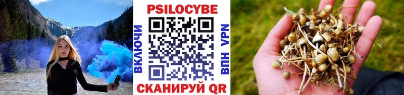 Галлюциногенные грибы Psilocybine cubensis Горбатов