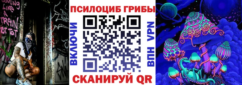 Купить  Горбатов  Псилоцибиновые грибы MAGIC MUSHROOMS 